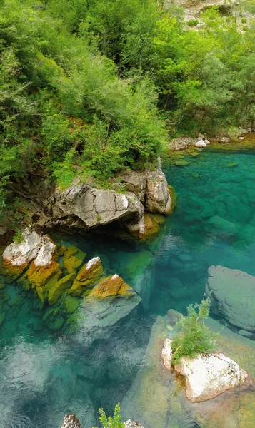 Mrtvica klidnou řeku Canyon Černá Hora divoká krása. Příroda lan — Stock fotografie