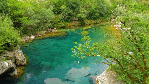 Mrtvica klidnou řeku Canyon Černá Hora divoká krása. Příroda lan — Stock fotografie