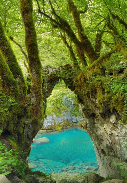 Brána na přání, Kapija zelja. Mrtvica river Canyon Montenegro — Stock fotografie