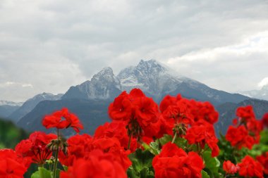 Şaşırtıcı görünümü üzerinde Watzmann. Bavyera Alpleri Güney dağ 