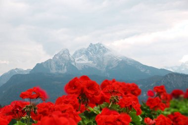 Şaşırtıcı görünümü üzerinde Watzmann. Bavyera Alpleri Güney dağ 