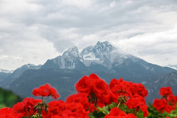 Prachtig uitzicht op de Watzmann. Berg in de Beierse Alpen-zuiden — Stockfoto