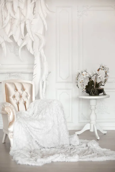 Fauteuil Moderne Avec Fourrure Avant Plumes Mur Intérieur Blanc — Photo