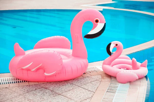 Regarde Famille Deux Flotteurs Piscine Rose Flamant Rose Eau Bleue — Photo