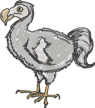 Dodo kuş vektör çizim küçük resim görüntüsü