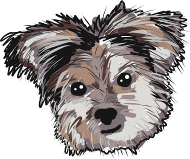 Teriyer köpek vektör küçük resim görüntü illüstrasyon