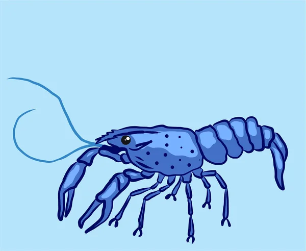 Blue marron crayfish kind shellfish illustration clip-art image — Stock Vector