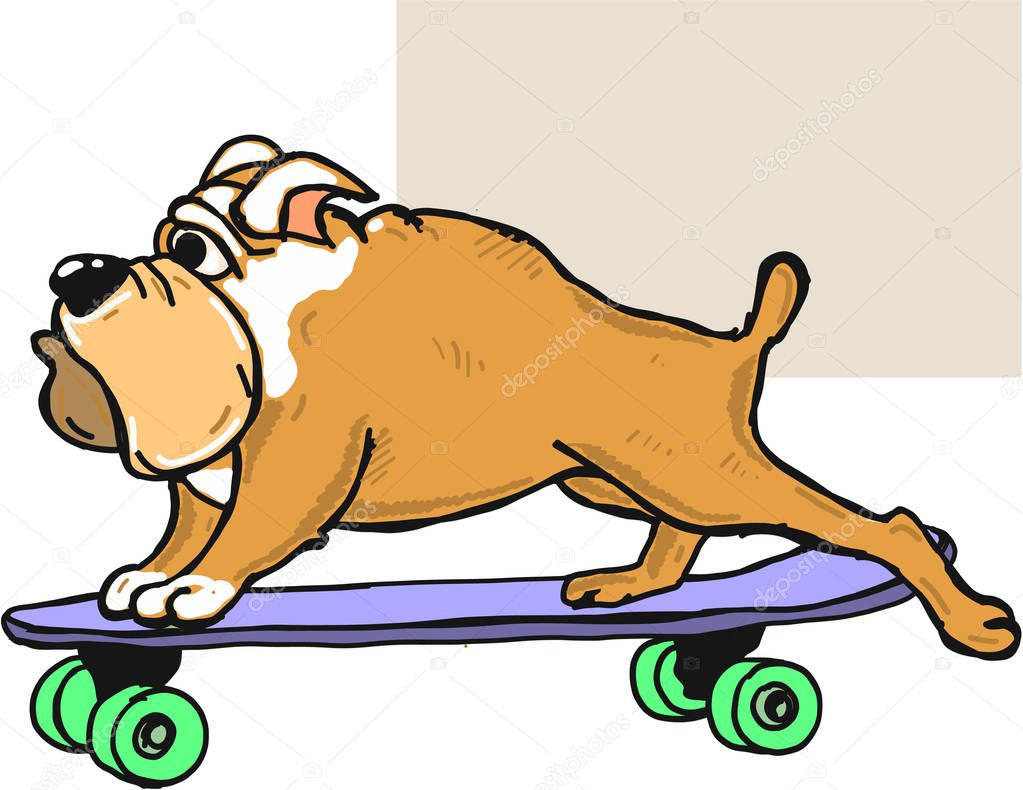 Bulldog on scateboard vector illustration clip-art image 