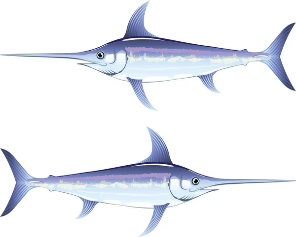 Swordfish vector illustration clip-art image — Stock Vector