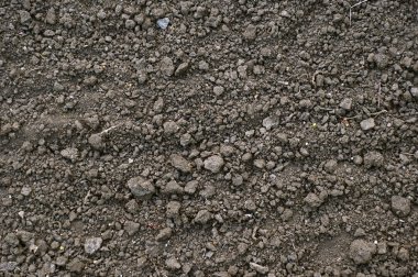 Dikim için toprak zemin arka plan