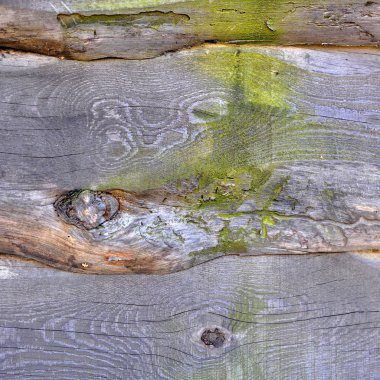 Gri ahşap doku. Arka plan, boş şablon