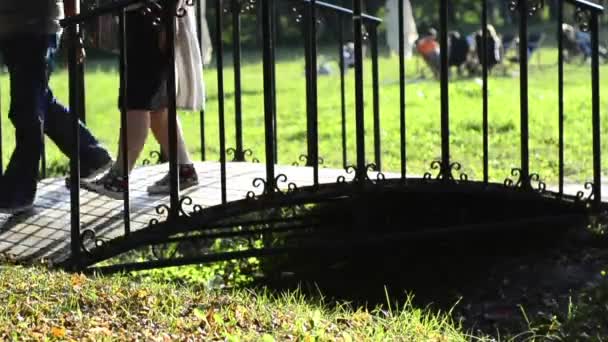 Walking People Forged Bridge Sunny Day Backdrop Lawn — Stock Video