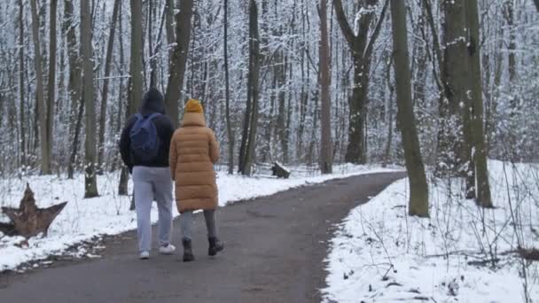 Meisje Vrouw Man Jongen Wandelend Het Bos Park Bij Bewolkt — Stockvideo