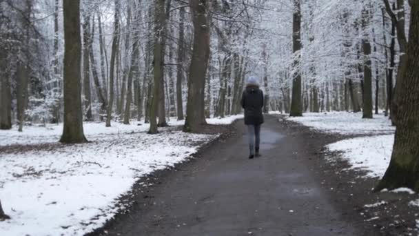 Дівчина Жінка Йде Лісі Парк Похмуру Весняну Погоду — стокове відео