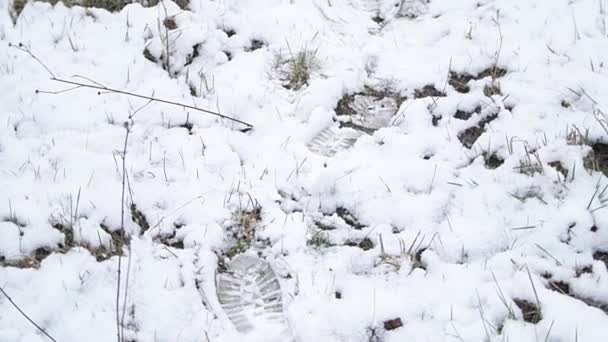Spuren Von Schuhen Auf Schneebedecktem Gras Einem Trüben Frühlingstag — Stockvideo