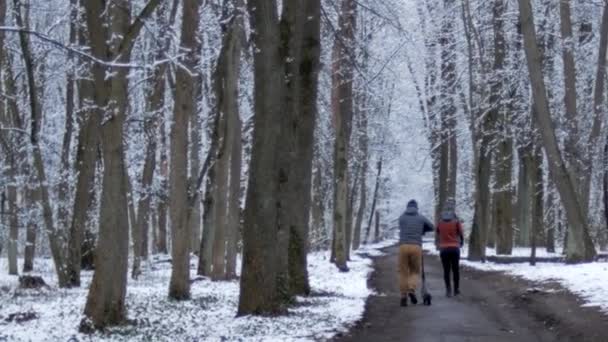 Κορίτσι Γυναίκα Άντρας Αγόρι Περπατά Στο Δάσος Παρκάρει Συννεφιασμένο Ανοιξιάτικο — Αρχείο Βίντεο