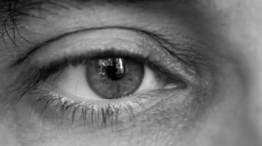 Büyük kardeş büyük gözlerle izliyor. Süper makro, çok yakın çekim..