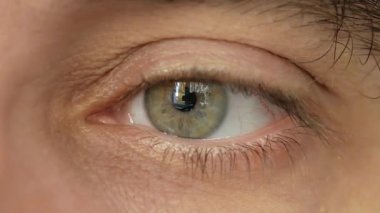 Büyük kardeş büyük gözlerle izliyor. Süper makro, çok yakın çekim..