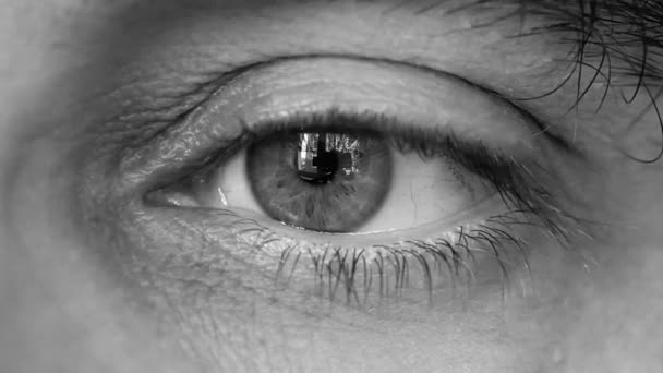 大哥的眼睛睁得大大的 超级宏观 非常接近 — 图库视频影像