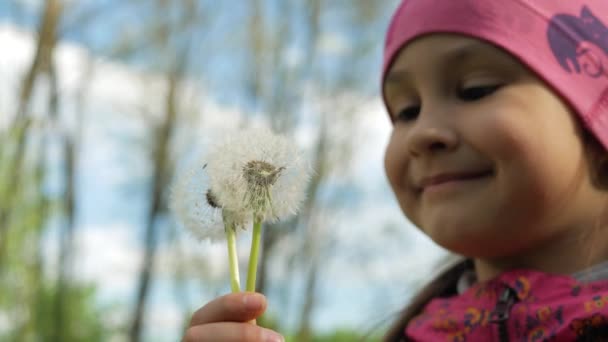 Dandelions Desbotados Morrem Dia Ensolarado Dos Golpes Uma Menina Persistente — Vídeo de Stock