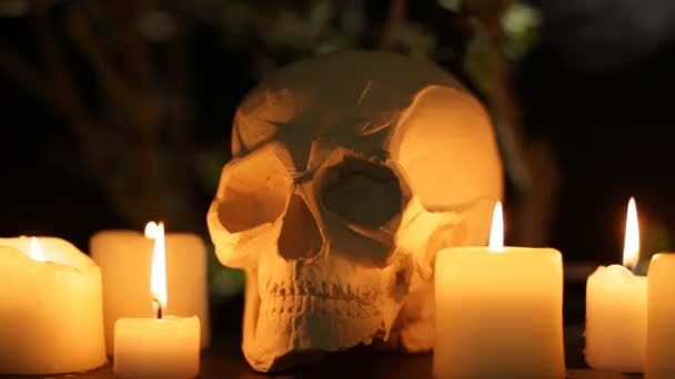 Astratto sfondo di Halloween — Video Stock