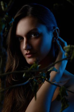 Renkli ışık portre