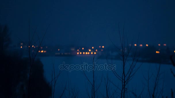 Bomen en stad lightsblur achtergrond — Stockvideo