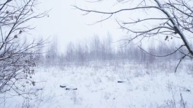 Kış manzara ortada lastikleri ile