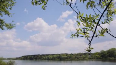 Tipik Beyaz Rusya manzara