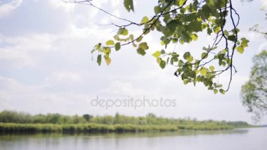 Tipik Beyaz Rusya manzara