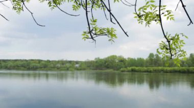 Tipik Beyaz Rusya manzara