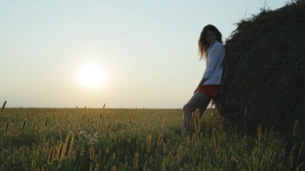 황혼에 젊은 여자의 실루엣입니다. 루프 — 비디오