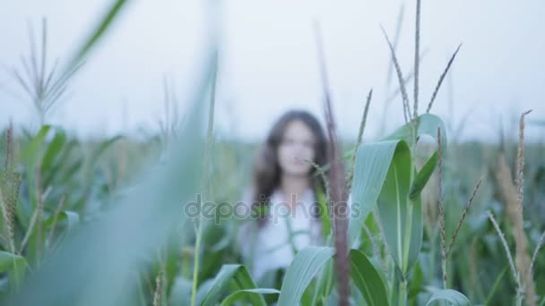 Красива жінка в полі молодої кукурудзи — стокове відео
