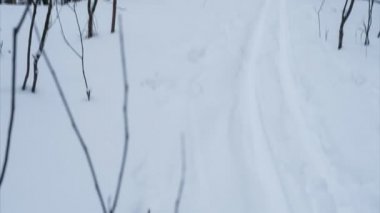 Kış manzara Kayak izleri olan. Döngü