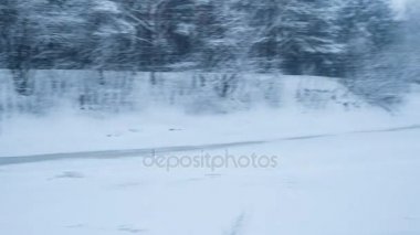 Kış orman ve donmuş göl. Kaydırma. Döngü