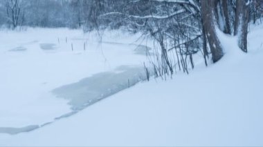 Kış orman ve donmuş göl. Kaydırma. Döngü