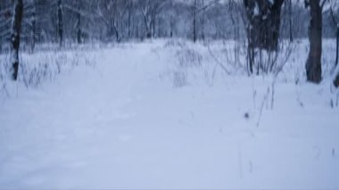 Kış manzara Kayak izleri olan. Döngü