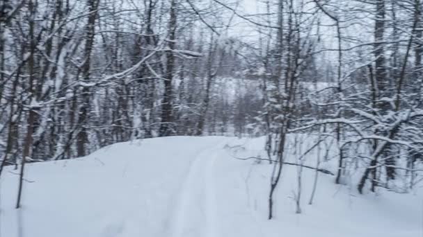 与滑雪板的痕迹的冬季景观。回路 — 图库视频影像