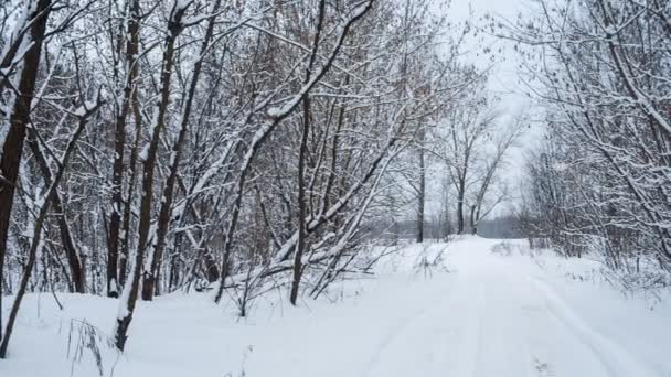 Kalm winterlandschap met weg — Stockvideo