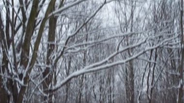 Kış manzara Kayak izleri olan. Döngü