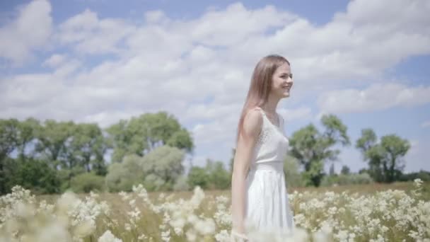 Joven bonita mujer en el prado saltando — Vídeos de Stock