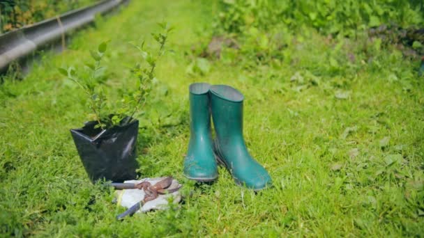 Vida útil com ferramentas de jardinagem e roupas — Vídeo de Stock
