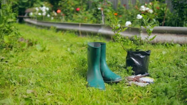 Vida útil com ferramentas de jardinagem e roupas — Vídeo de Stock