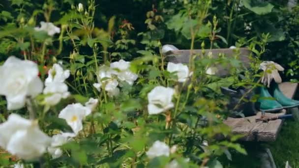 Stillleben mit Gartengeräten und Kleidung — Stockvideo