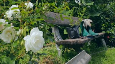Bahçe aletleri ve kıyafet ile Stilllife