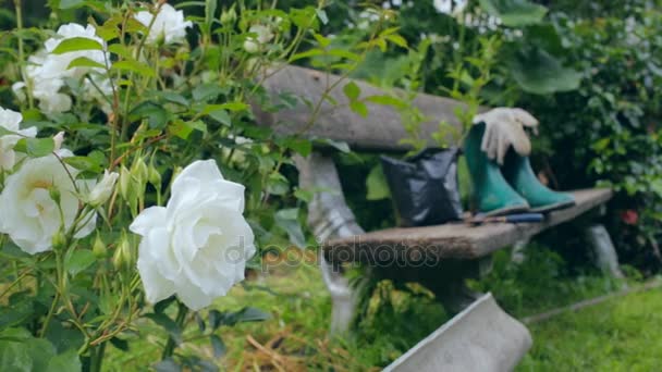 Silencio con herramientas de jardinería y ropa — Vídeo de stock