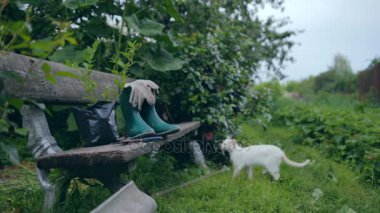 Bahçe aletleri ve kıyafet ile Stilllife