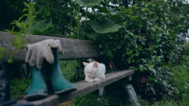 Bahçe aletleri ve kıyafet ile Stilllife