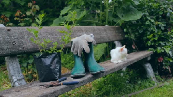 Silencio con herramientas de jardinería y ropa — Vídeos de Stock