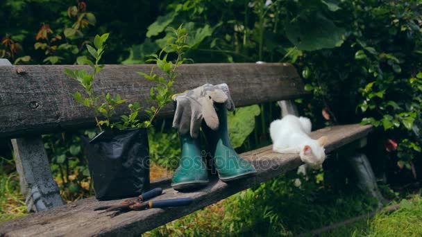 Silencio con herramientas de jardinería y ropa — Vídeo de stock